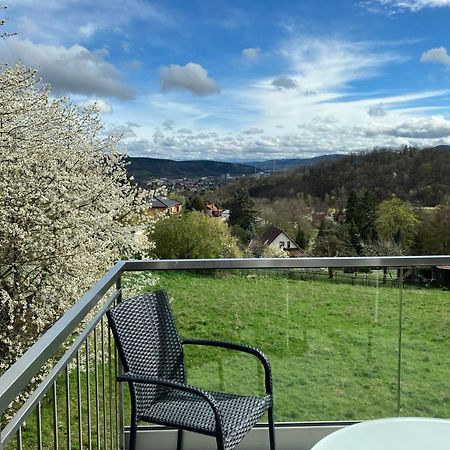 Studioappartment Saaleblick Rudolstadt Buitenkant foto